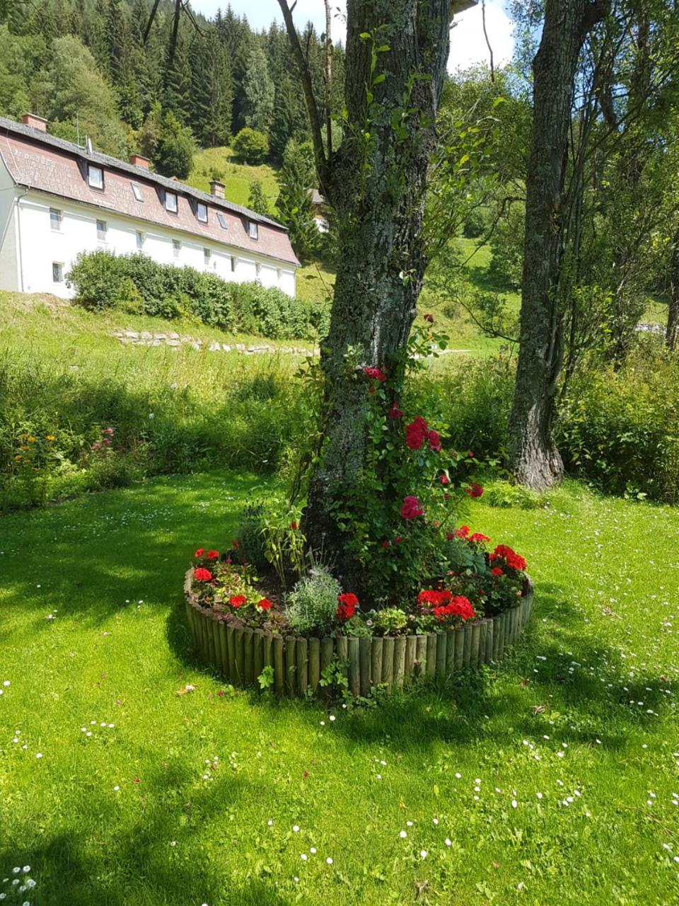 Riverside Ski Apartment Ramingstein Extérieur photo