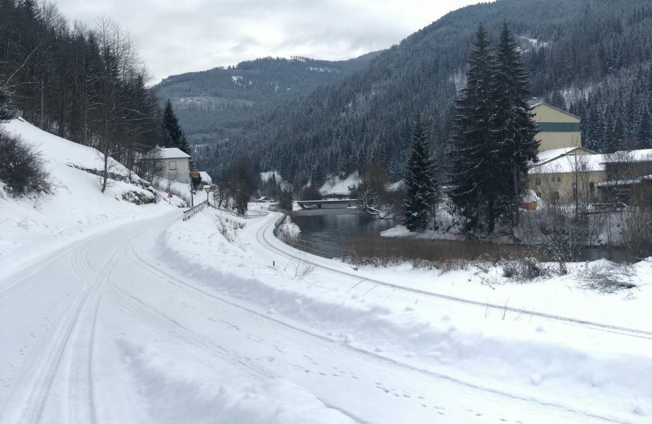 Riverside Ski Apartment Ramingstein Extérieur photo